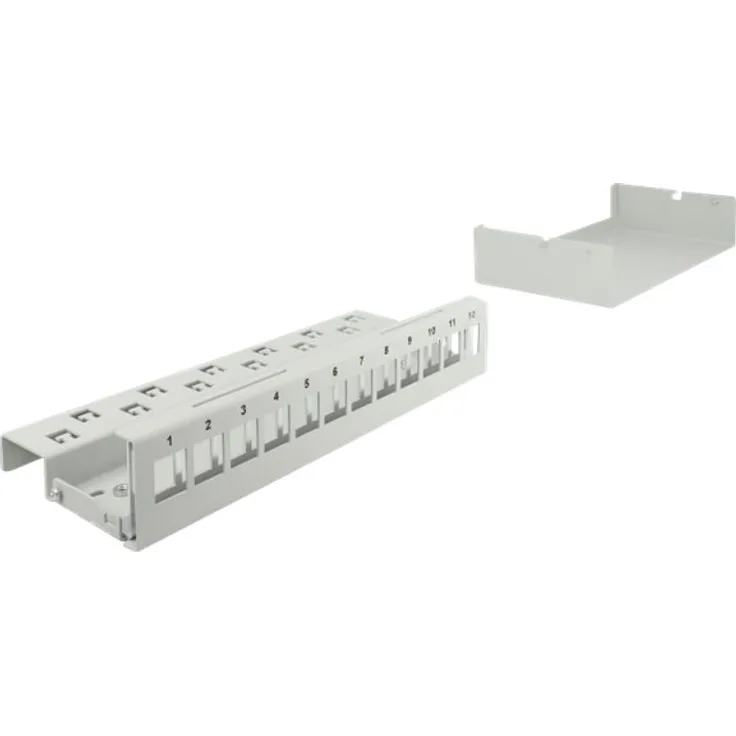 Delock Keystone Patchpanel 12 Port grau (43414)