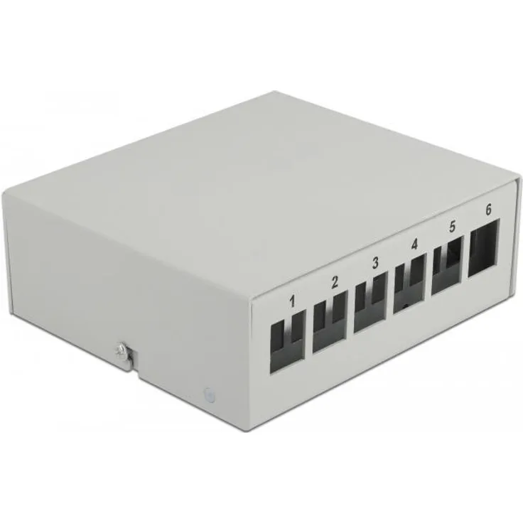 Delock Keystone Patchpanel 6 Port grau (43410)