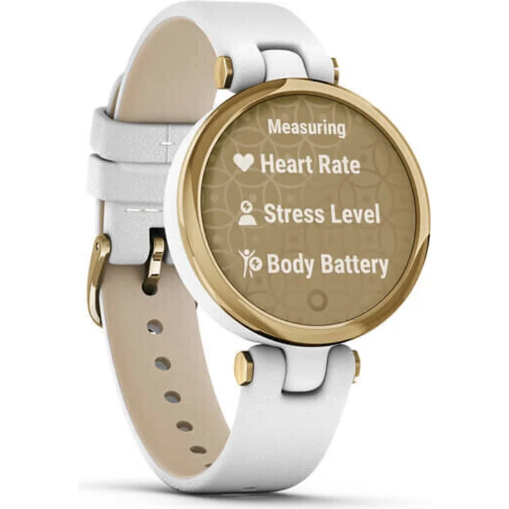 Garmin Lily Classic GPS, Damen, Kunststoffgehäuse, Lederarmband, Weiß/Gold (010-02384-B3) - Preisvergleich – Bild 1