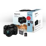 Panasonic Panasonic Lumix G91 + 12-60mm OIS Special Edition - Systemkamera (20,3 MP, MFT, 4K, Wi-Fi, Bluetooth, HDMI, USB 3.1 (Gen. 2)) schwarz