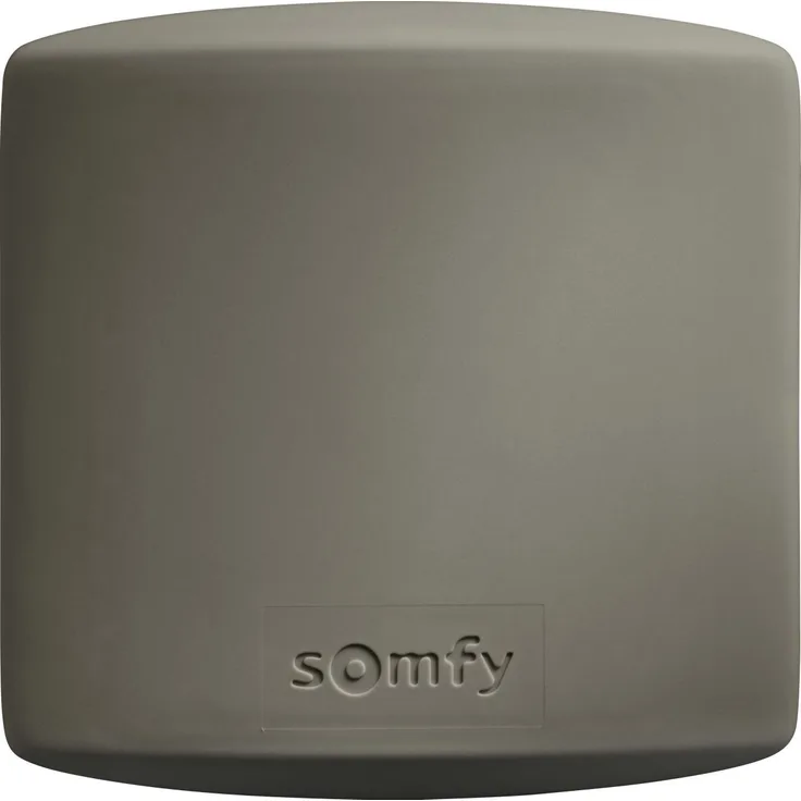 SOMFY Access Receiver io 1841229
