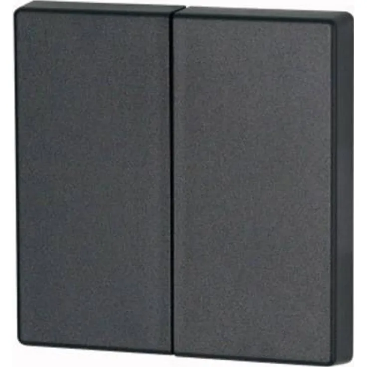 Eaton xComfort 2-Kanal Tasterwippe CWIZ-02-09 Tief-Schwarz (matt) (195243)