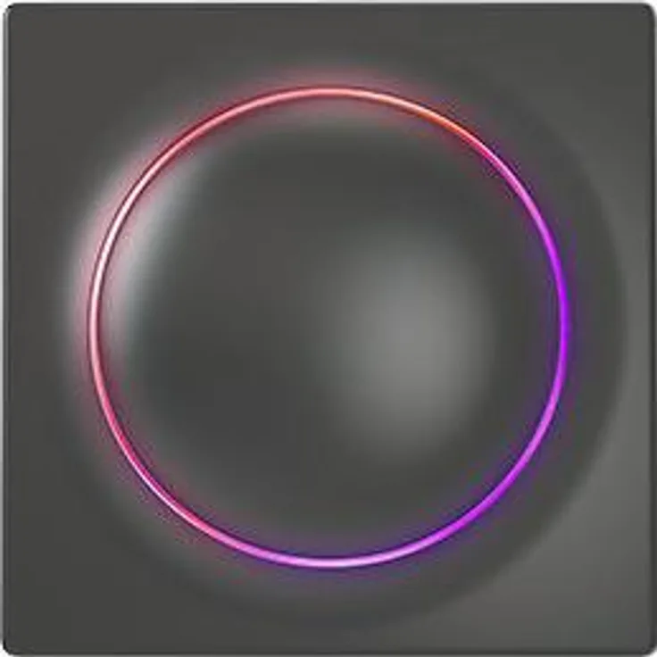 Fibaro Walli Switch anthrazit