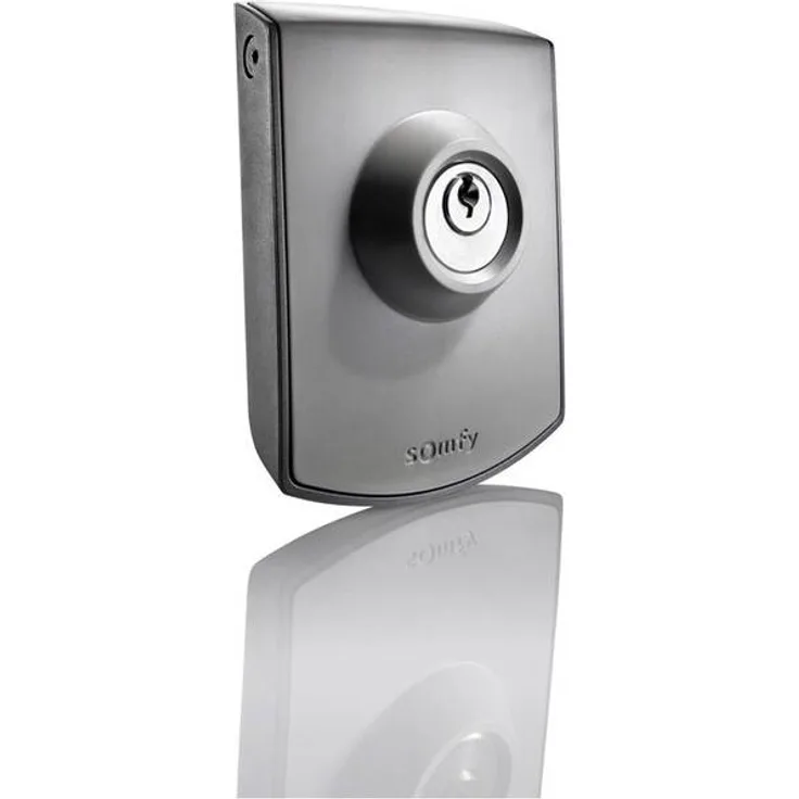 Somfy Torantrieb Schlüsseltaster IP54 2400597 (2400597)