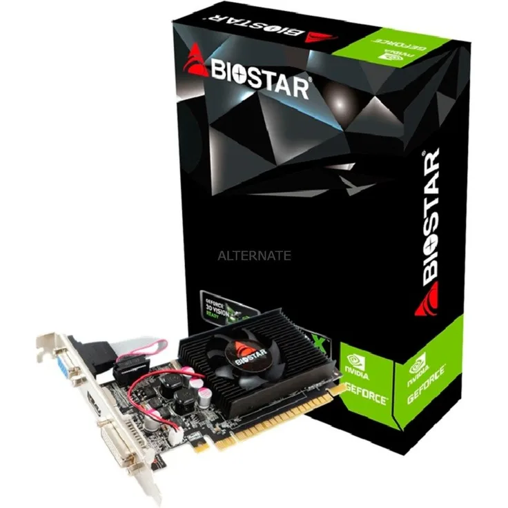 Biostar GeForce GT 610 Grafikkarte, Mini-HDMI, 2x DVI-I