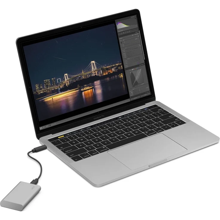 LaCie Portable SSD STKS500400 - Solid-State-Disk - 500 GB - extern (tragbar) - USB (USB-C Steckverbinder) - Moon Silver - mit Seagate Rescue Data Recovery – Bild 4
