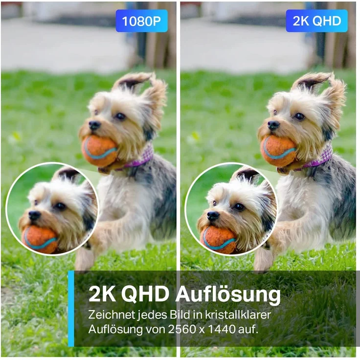 TP-Link Tapo C320WS Überwachungskamera Außen, WLAN IP Kamera, 4MP Hochauflösung, 30m Vollfarb-Nachtsicht, Bewegungserkennung, IP66 wasserdicht, Alarmmeldung, Zwei Wege Audio, kompatibel mit Amazon Alexa & Google Assistant – Bild 2