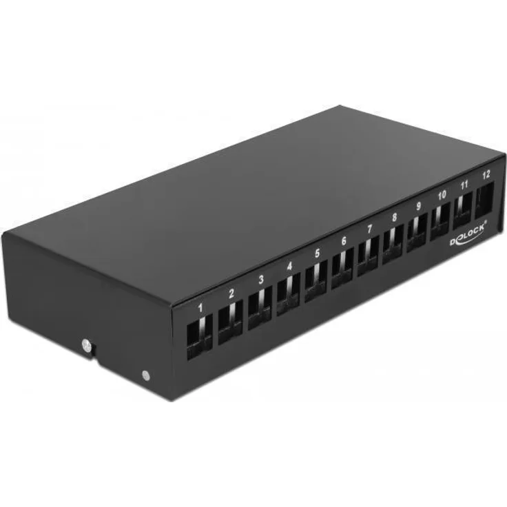 Delock - Leeres Keystone-Patchpanel - geeignet für Wandmontage, DIN schienenmontierbar - Schwarz - 12 Ports (43415)
