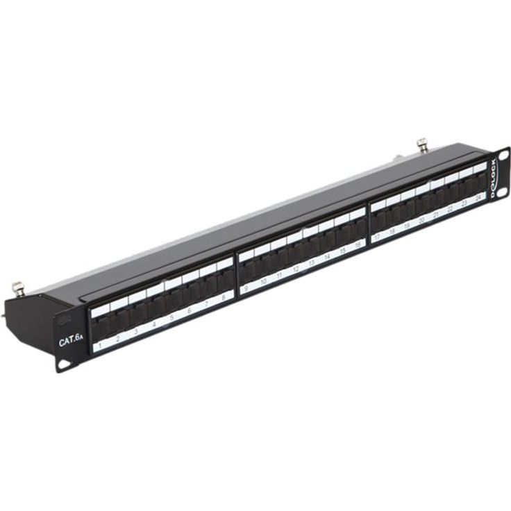 DeLOCK - Patch Panel - RJ-45 X 24 - Jet Black, RAL 9005 - 1U - 48,3 cm (19'') (43320)