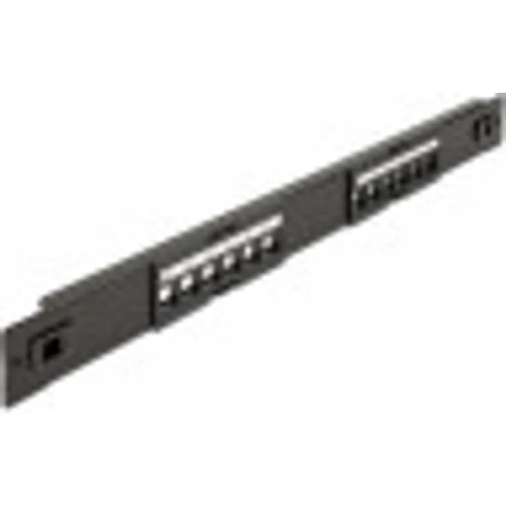 Delock 19'' Keystone Patchpanel 12 Port werkzeugfrei