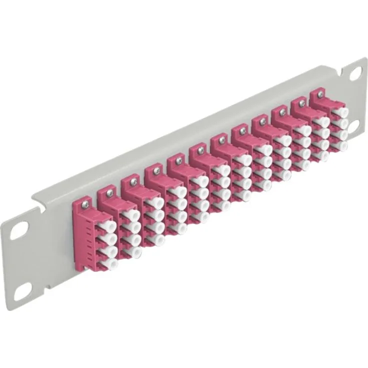 Delock - Patch Panel - Rack montierbar - LC x 12 - Grau - 1U - 25,4 cm (10'') (66800)