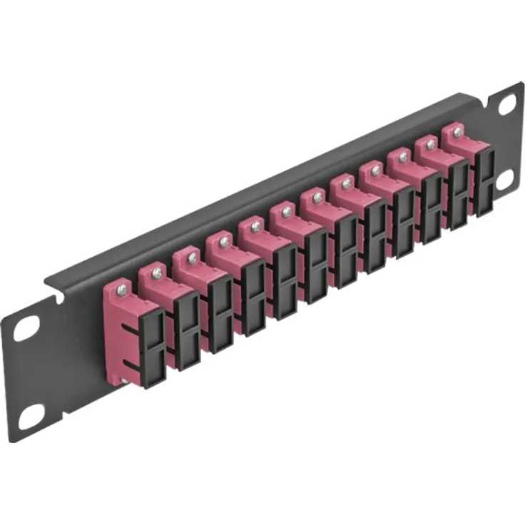 Delock - Patch Panel - Schrankmontage - SC Duplex MM X 12 - Schwarz, violett - 1U - 25,4 cm (10'') (66775)
