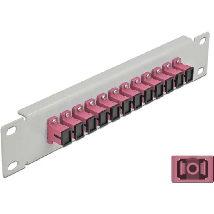 Delock - Patch Panel - Rack montierbar - SC MM X 12 - Grau, violett - 1U - 25,4 cm (10'') (66785)