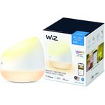 WiZ SQUIRE Portable Tischleuchte Tunable White & Colour Einzelpack