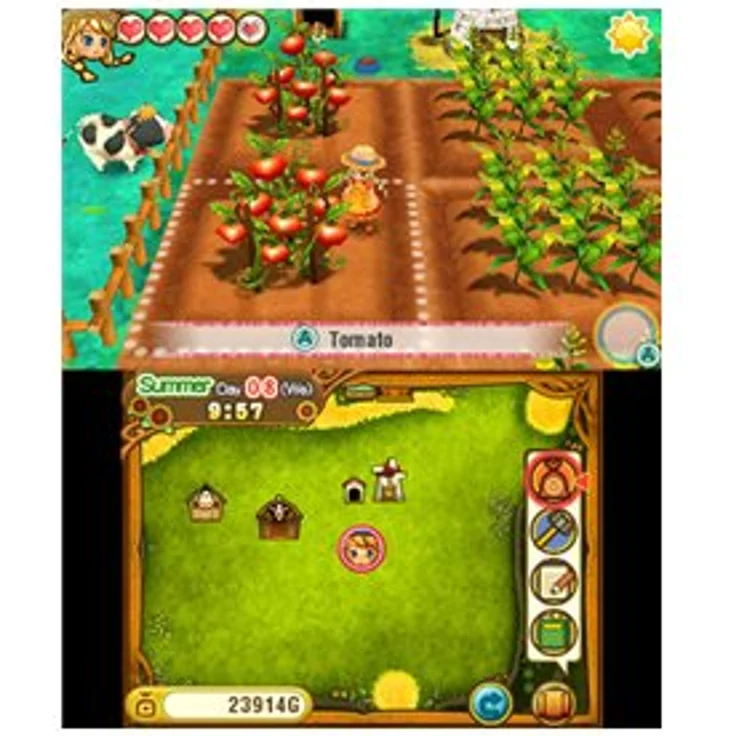 Story of Seasons: Trio of Towns (3DS) – Bild 5