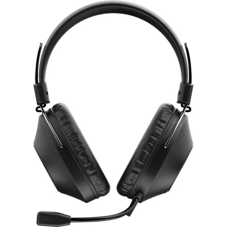 Trust HS-250 Headset (ohrumschließend, kabelgebunden, USB)