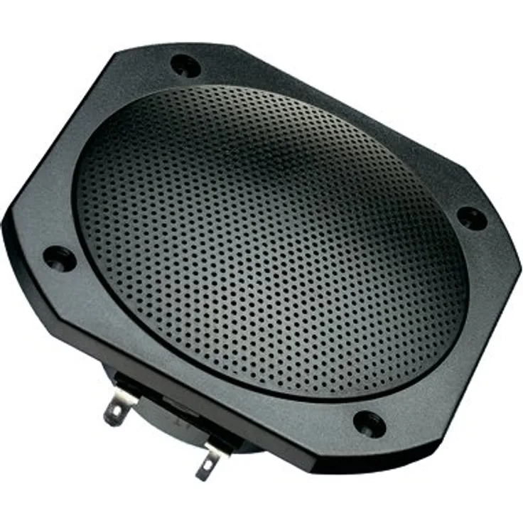 Visaton 10 cm Breitbänder FRS 10 WP - 8 Ohm (schwarz)