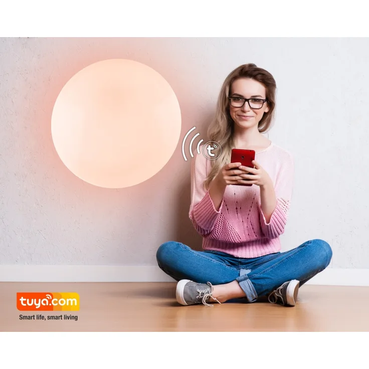 Globo Deckenleuchte Deckenlampe Sparkle CCT Sprachsteuerung 41348-30SH