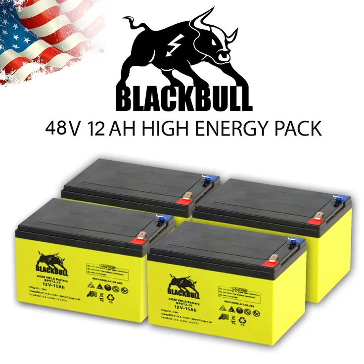 Akkupack ''Sport'' 48V 12AH für Revoluzzer & Revoluzzi