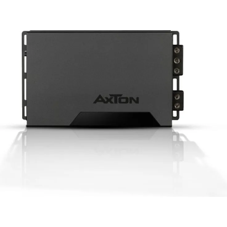 Axton A101 Mono-Verstärker