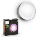 Philips Hue White and Color Ambiance Daylo LED Außenwandleuchte Daylo, bis zu 16 Mio. Farben, steuerbar via App, kompatibel mit Amazon Alexa (Echo, Echo Dot), silber