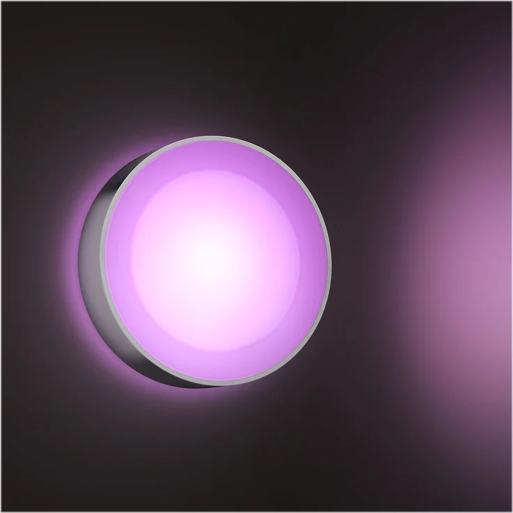 Philips Hue White and Color Ambiance Daylo LED Außenwandleuchte Daylo, bis zu 16 Mio. Farben, steuerbar via App, kompatibel mit Amazon Alexa (Echo, Echo Dot), silber – Bild 3