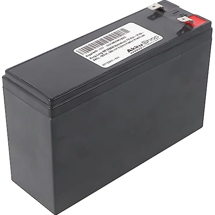 Kung Long WP1224W Hochstrom F2 Blei-Vlies-Akku, 12V 6Ah, wartungsfrei mit 6,3mm Faston Anschluss – Bild 2