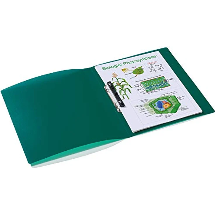 HERMA Präsentationsordner, Ringbücher aus Polypropylen, verschiedene Farben – Bild 5