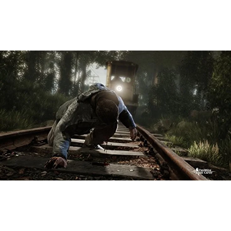 The Vanishing of Ethan Carter (PC) – Bild 3