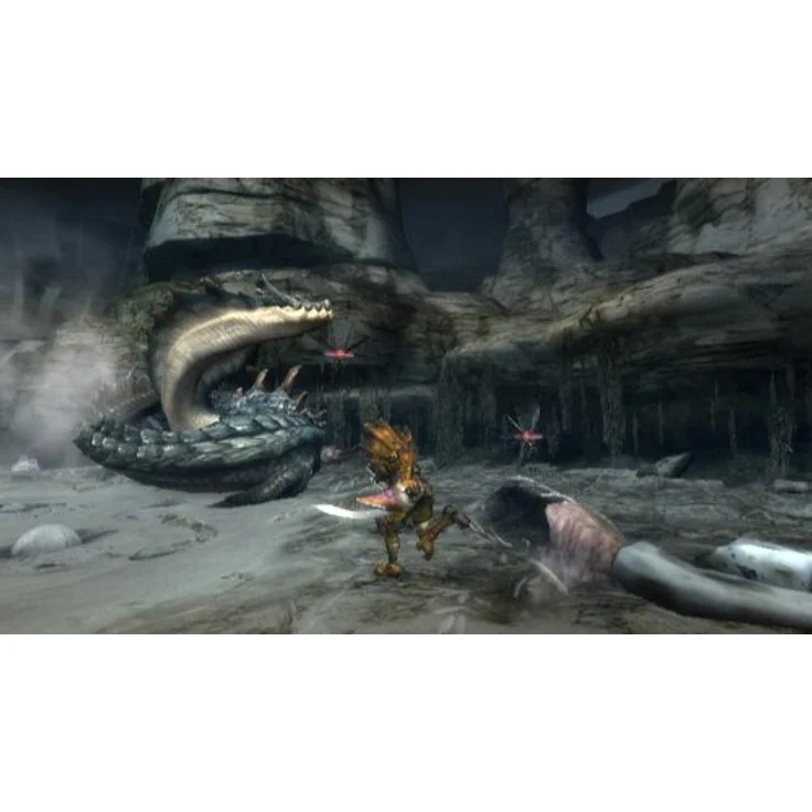 Monster Hunter Tri (Wii) – Bild 3