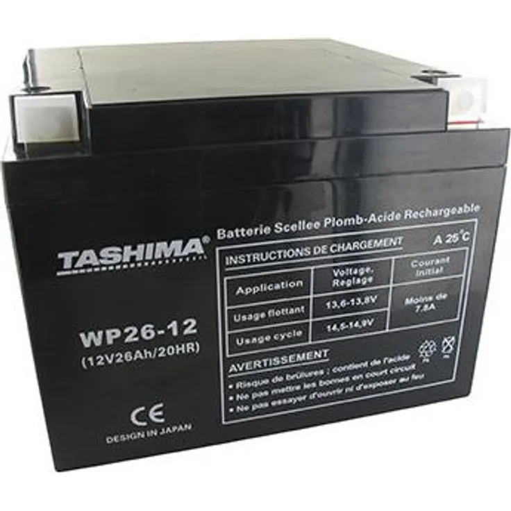 Tashima Motorrad-Batterie 12V 26Ah für Snapper, Säurebefüllung, L: 165mm, B: 175mm, H: 125mm, + rechts