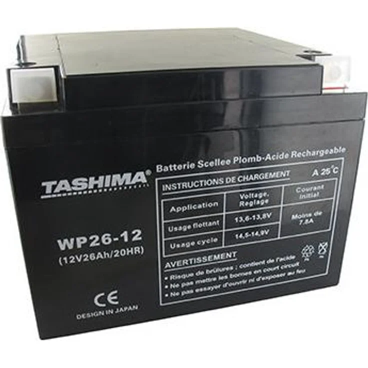 Tashima Motorrad-Batterie 12V 26Ah für Snapper, Säurebefüllung, L: 165mm, B: 175mm, H: 125mm, + rechts