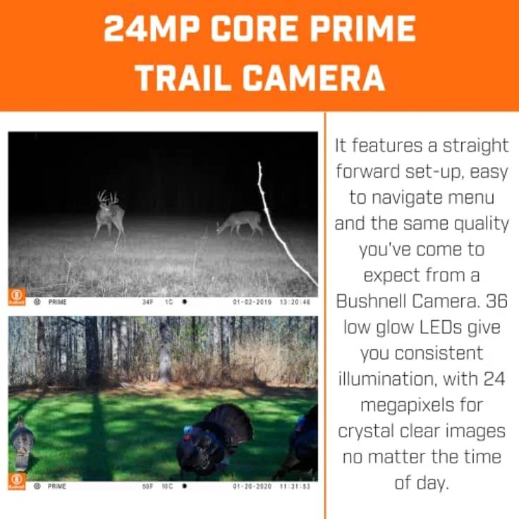 Bushnell - 24MP Core Prime - Trail-Kamera - Sand Braun - Low Glow - Wildlife - im Freien - Tiere - Drahtlos - Natur - Feld-Scan-Modus - Zeitraffer - Nachtbereich - 119932M – Bild 4