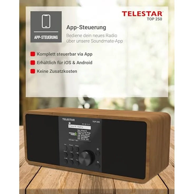 Telestar TOP 250, Internetradio mit DAB+, FM, Bluetooth 5.3, WLAN, braun – Bild 11