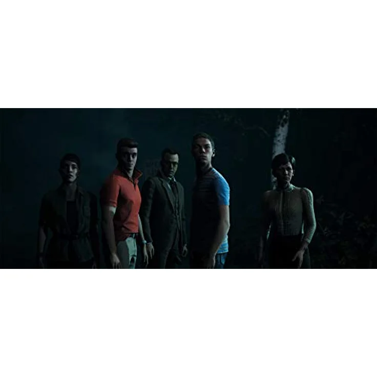 Dark Pictures Little Hope [ – Bild 3