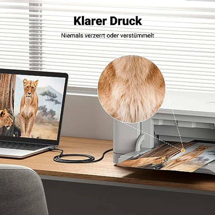 UGREEN USB-A to BM Print Cable 1,5m - Preisvergleich – Bild 5