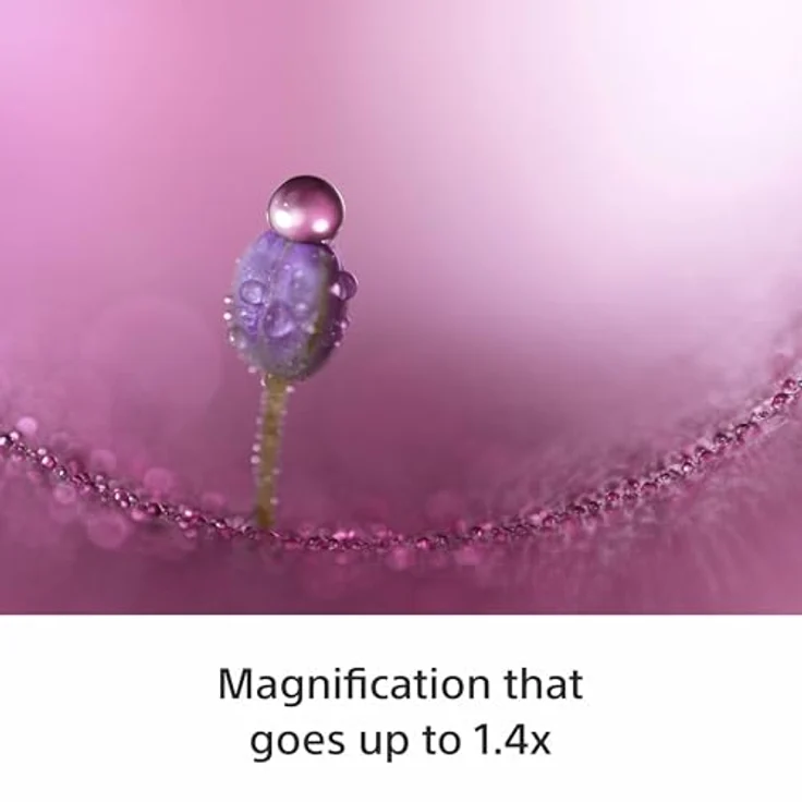 Sony FE 100mm F2.8 STF GM OSS (SEL100M28GMB) – Porträtobjektiv für Sony E-Mount, G Master Teleobjektiv mit Autofokus, Bildstabilisator und extrem weichem Bokeh für Vollformatkameras, ideal für A7-Serie und A6700 – Bild 5