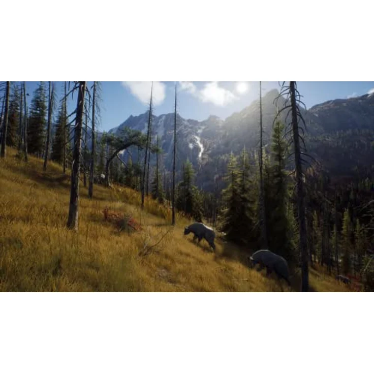 THQ Nordic Way of the Hunter - PC, realistisches Jagdsimulationsspiel mit Team-Modus, 2 große Jagdgebiete á 140 km², rückspulbare Geschosskamera, komplexes Trophäensystem – Bild 5