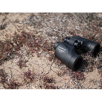 Olympus 8x42 PRO Fernglas – Wasserdicht, ED-Glas Für Vogelbeobachtung