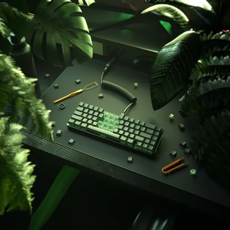Glorious Raptor Switch, mechanisch, clicky, MX-Stem, 55g - 36 Stück – Bild 13