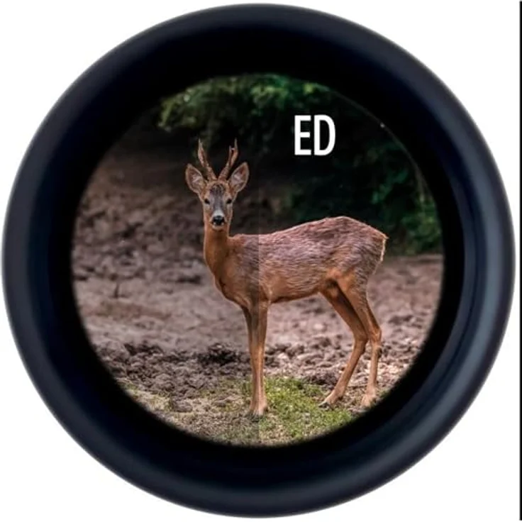 Minox X-Tour 8x34 Fernglas, kontrastreiches und scharfes Bild, ideal für Naturbeobachtung und Jagd – Bild 5