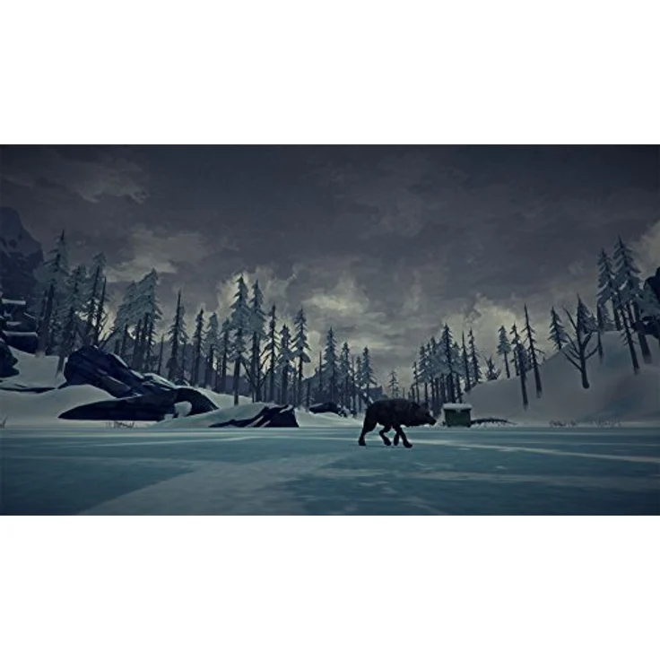The Long Dark (PS4) – Bild 4