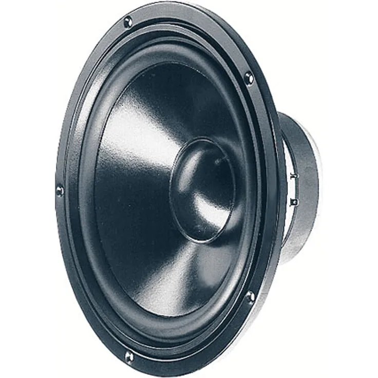 Visaton 9035 Lautsprecher für MP3 & iPod schwarz