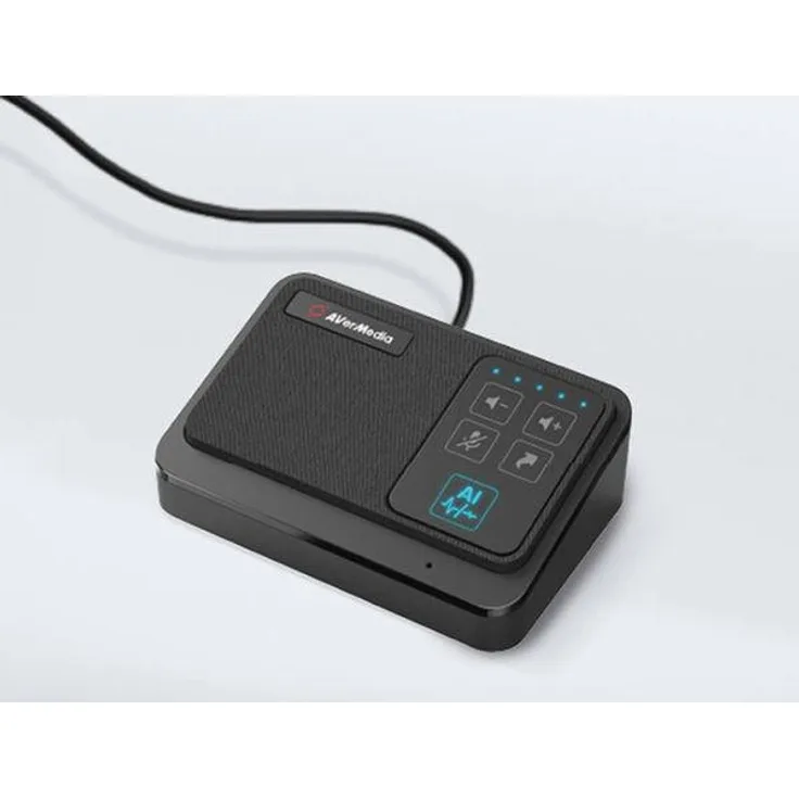 AVerMedia AI SpeakerPhone fƒ¼r Prof. Anwendungen (AS311)