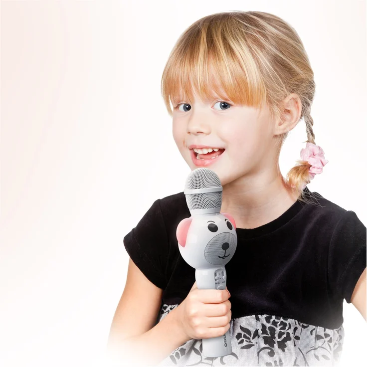 LENCO Karaoke mic. mit BT, USB, SD, Beleuchtung, Aux out – Bild 11
