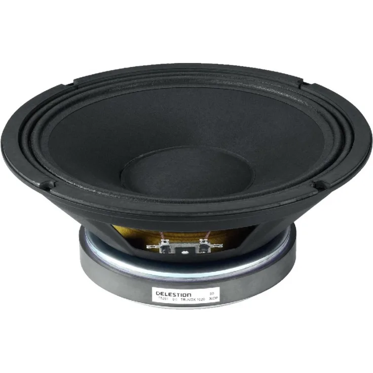 LESTION TF-1020 PA-Basslautsprecher