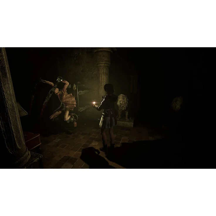 Tormented Souls (PS4)  - Preisvergleich – Bild 4