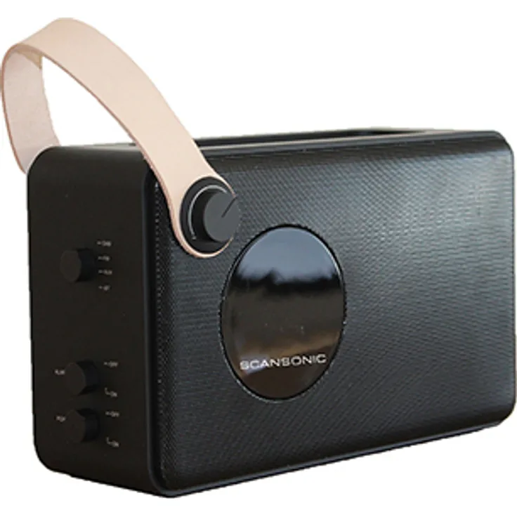 Scansonic PA4600-B Tragbar Digital DAB+ FM LCD Schwarz Akku