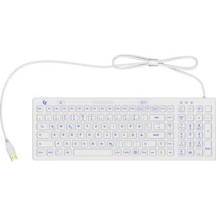 ICY BOX KSK-6031INEL-Wh Kabelgebunden Hygiene-Tastatur Deutsch, QWERTZ Weiß Staubgeschützt, Spritzwassergeschützt, Beleuchtet