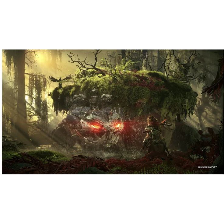 Horizon Forbidden West - Collector's Edition (PS4 / PS5) – Bild 6